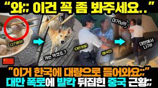 Download lagu Chinese Reaction | The video that China deleted in a fit of rage, which Taiwan deliberately expos... mp3