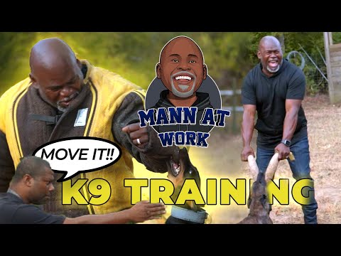 🚨 Mann at Work with David Mann Sr. - Training Day with K9's