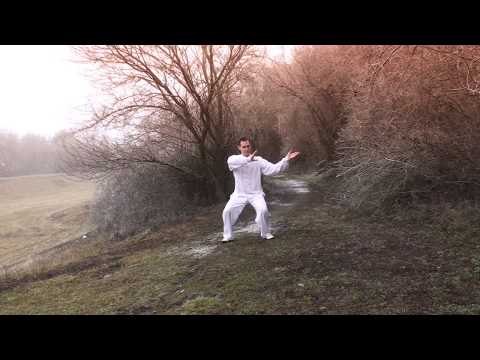 Eternal Dao - Tai Chi in Eisenstadt und Mattersburg