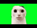 人面猫GB素材 So Wake Me Up Cat