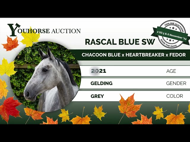 Rascal Blue SW