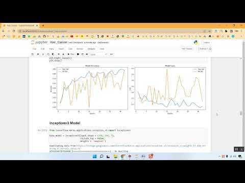 Liver Cancer Classification Train in Python Projects