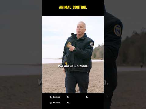 🎬 Animal Control (S2E3) — “Service Dog… Really?”｜Beach Patrol Mix-Up 🐕😬🌊#shorts
