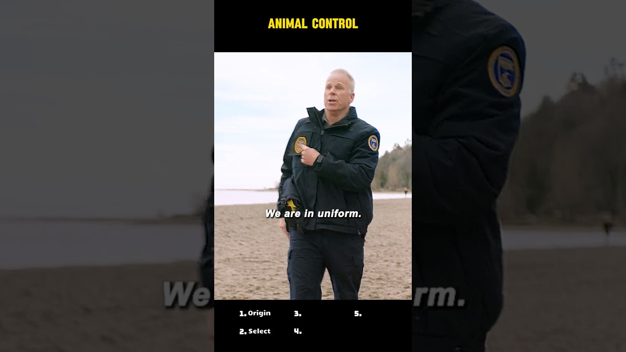 🎬 Animal Control (S2E3) — “Service Dog… Really?”｜Beach Patrol Mix-Up 🐕😬🌊#shorts