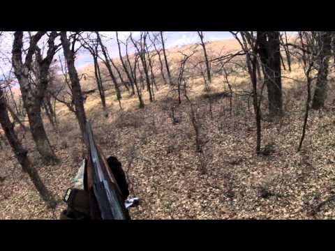 Whitetail skudt med slug/brennecke 2