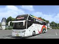 PUTRA PELANGI Livery Mod SR3 NEO SCANIA K450CB BUSSID V4 4