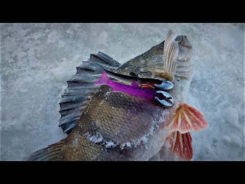 UUTUUS RUTHLESS ICE JIG HEAD PILKKIJIGIPÄÄ | PAKIT PULLOLLEEN JA PÄÄT JÄÄN ALLE RAADIN ETEEN!