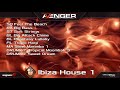 Video 1: Avenger Expansion Demo: Ibiza House 1