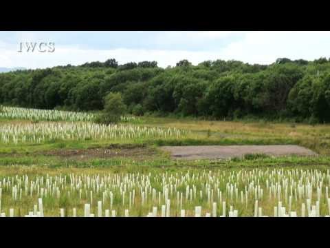 download lagu mp3 mp4 Bothwell Park, download lagu Bothwell Park gratis, unduh video klip Bothwell Park