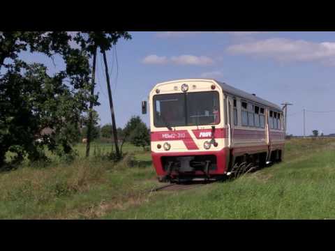 Gryficka kolej wąskotorowa dne 31. 8. 2016