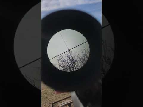 Winchester Blind Side