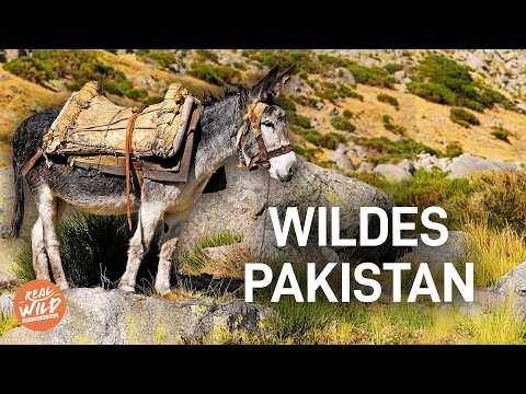 Pakistan EXTREM: Das gefährlichste Abenteuer entlang des Himalaya! | Doku