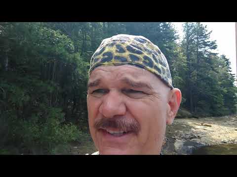 Secrets to Perform like a World Champion