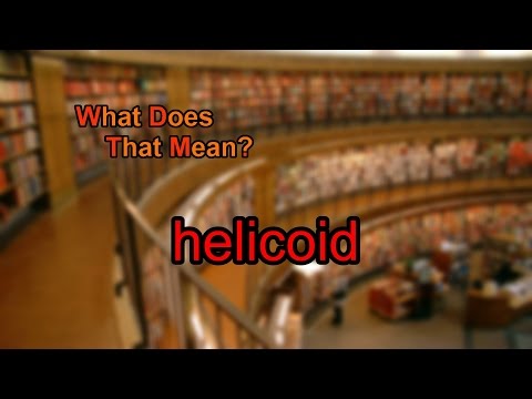 What does helicoid mean?