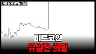 비트코인 '이때'가 유일한 희망입니다.