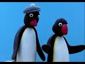 REUPLOAD SQUARED Pingu Cold