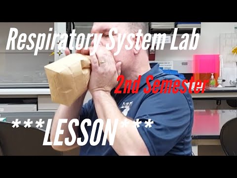 The Respiratory System:  Lesson for A&P Lab, 2nd Semester.  Anatomy and Physiology