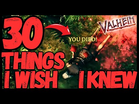 Watch Before Starting VALHEIM in 2026 - Beginner Tips