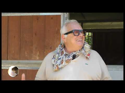 BARBERI D'ORO -  MOROSITA