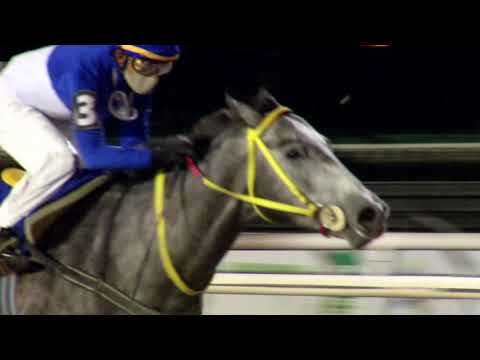 210627 c11 Criterium Potrillos/ NADIE TE OLVIDA