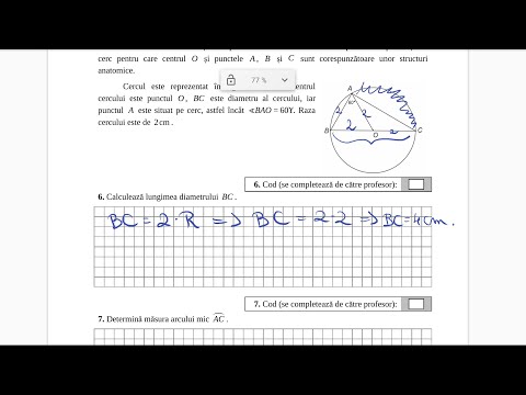 Model Evaluare Nationala - Clasa a 6 a - Subiecte 2019