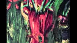 Salgan al SOl #11 - Metamorfica