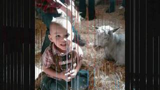 Happy Birthday Junior