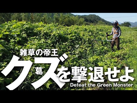 イバラに対する自家製除草剤