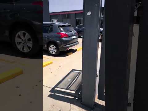 Acompáñame hasta el día y volvemos EN CONCORDIA ENTRE RÍOS