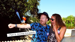 Disneyworld Florida 2022  |  Part 5  |  Animal Kingdom