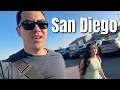 Father Daughter Trip To San Diego ItsJudysLife