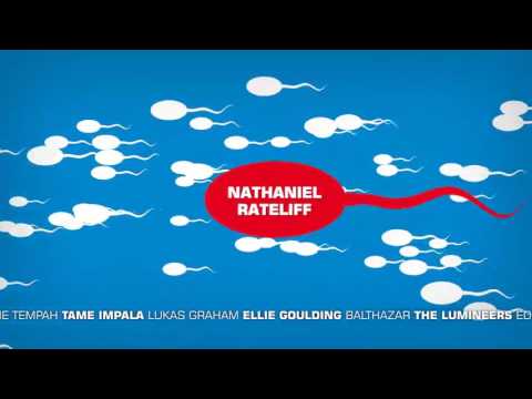 Life Is Music 2016 - studio brussel