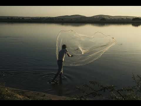 Pescador lança a rede   Amparo de São Francisco SE