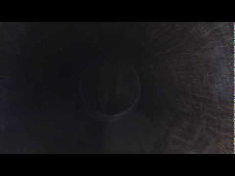 "Watermelon Party" By Polk Miller's Old South Quartet on Edison Blue Amberol