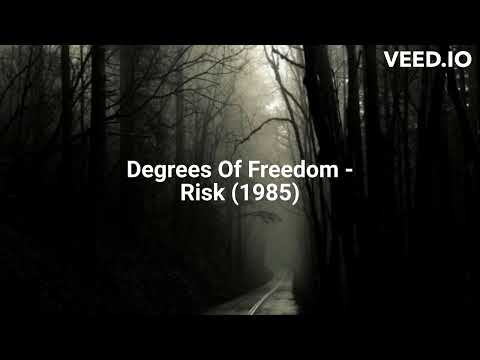 Degrees Of Freedom - Risk (1985)