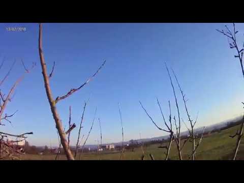 Alten Obstbaum schneiden Teil 3 - Pflegeschnitt an der Spitze