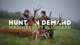 Gigantische Hirschbrunft in Ungarn 🦌🇭🇺 Teil 2 mit ‪@schwarzwaldhunters‬
