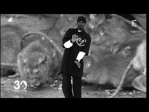 6IX9INE x DaBaby Type Beat  "RAT" (prod. Saturnin) | Free Trap Beats