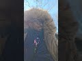 WeOutsideWitIt Chasemillyrundacity On The Pull Up RealLife BkAllDay