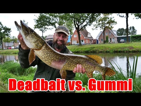 Matze Koch: Pike! Rubber vs. Baitfish - Matze's Antics 10-2020