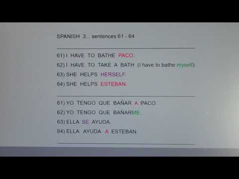 3 Sents 61-64:  I have to bathe Paco...
