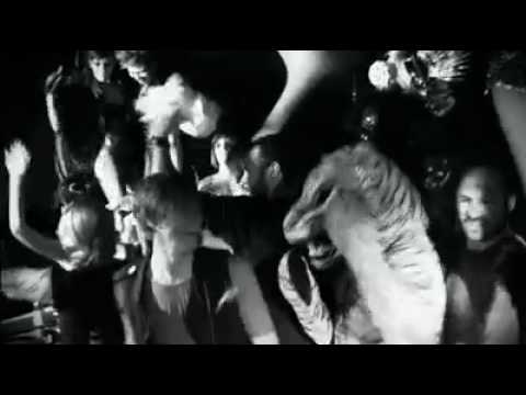 Cocoon Ibiza 2010 - Party Animals - Line Up Trailer