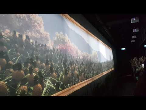 Taiwan visita fábrica de abacaxi