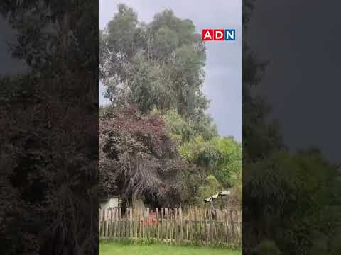 Reportan fuertes lluvias y truenos en la RM