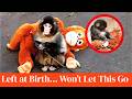 Abandoned Baby Monkey Finds Comfort In A Plush Toy