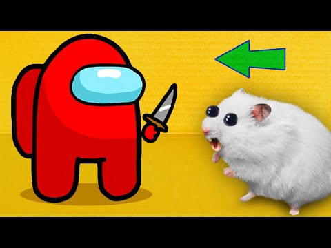 Among Us Game - Hamster Maze with Traps 😱[OBSTACLE COURSE]