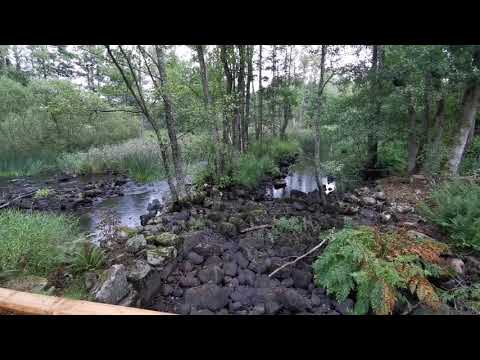 HÅLABÄCKS KVARN - Bräkneån - 200826 - mellan BACKARYD och BELGANET - Huawei p30 PRO - BLEKINGE