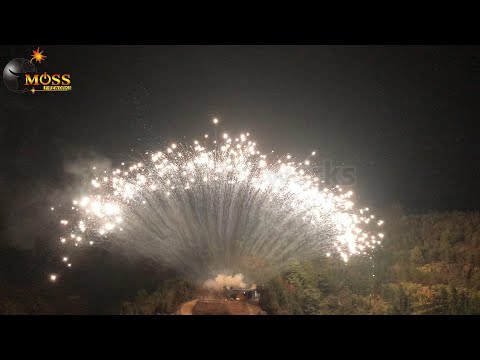 Best Professional Fireworks White Sparkling Flower Bundle