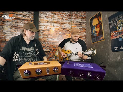 Warm Audio Foxy Tone Box | Demo & Comparison