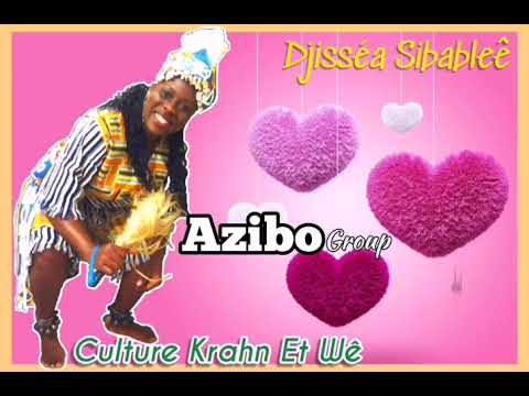 AZIBO GROUP (Drouwôr)